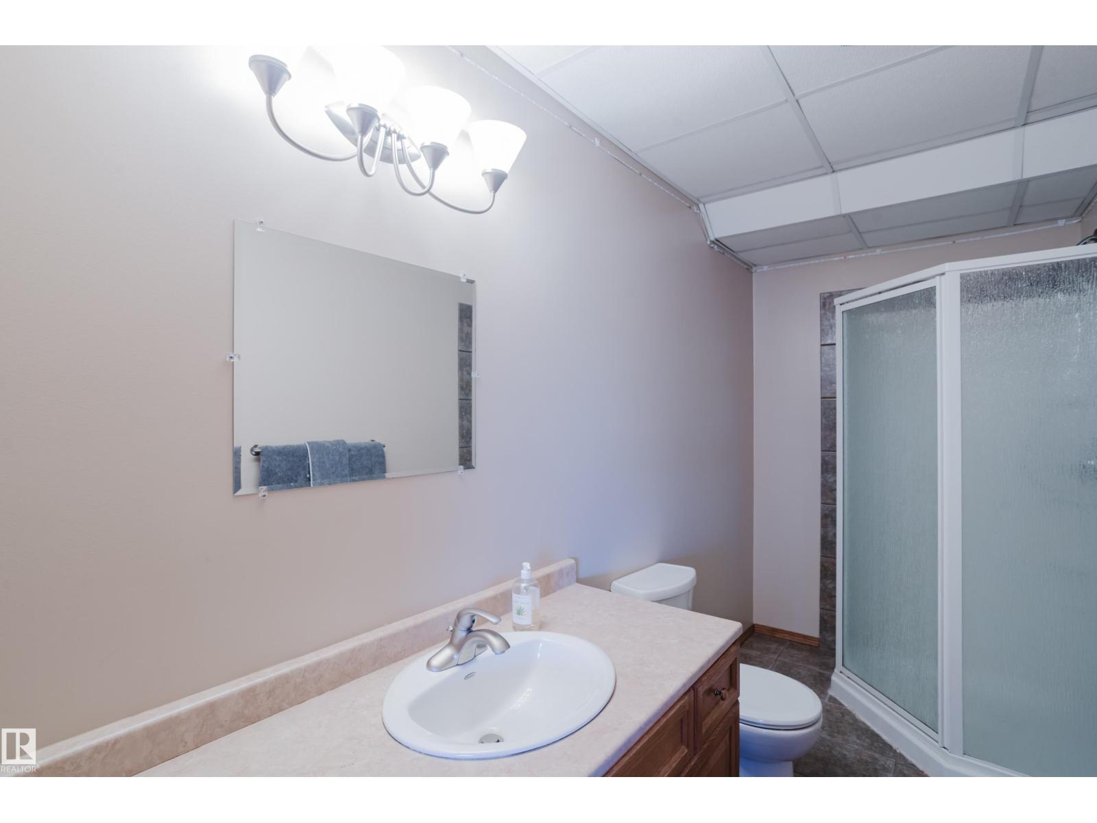 16620 81 St Nw, Edmonton, Alberta  T5Z 3J5 - Photo 57 - E4487871