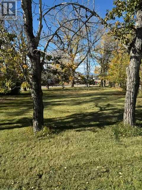 321 Twin Cities Drive, Longview, Alberta  T0L 0Z0 - Photo 10 - A2307929