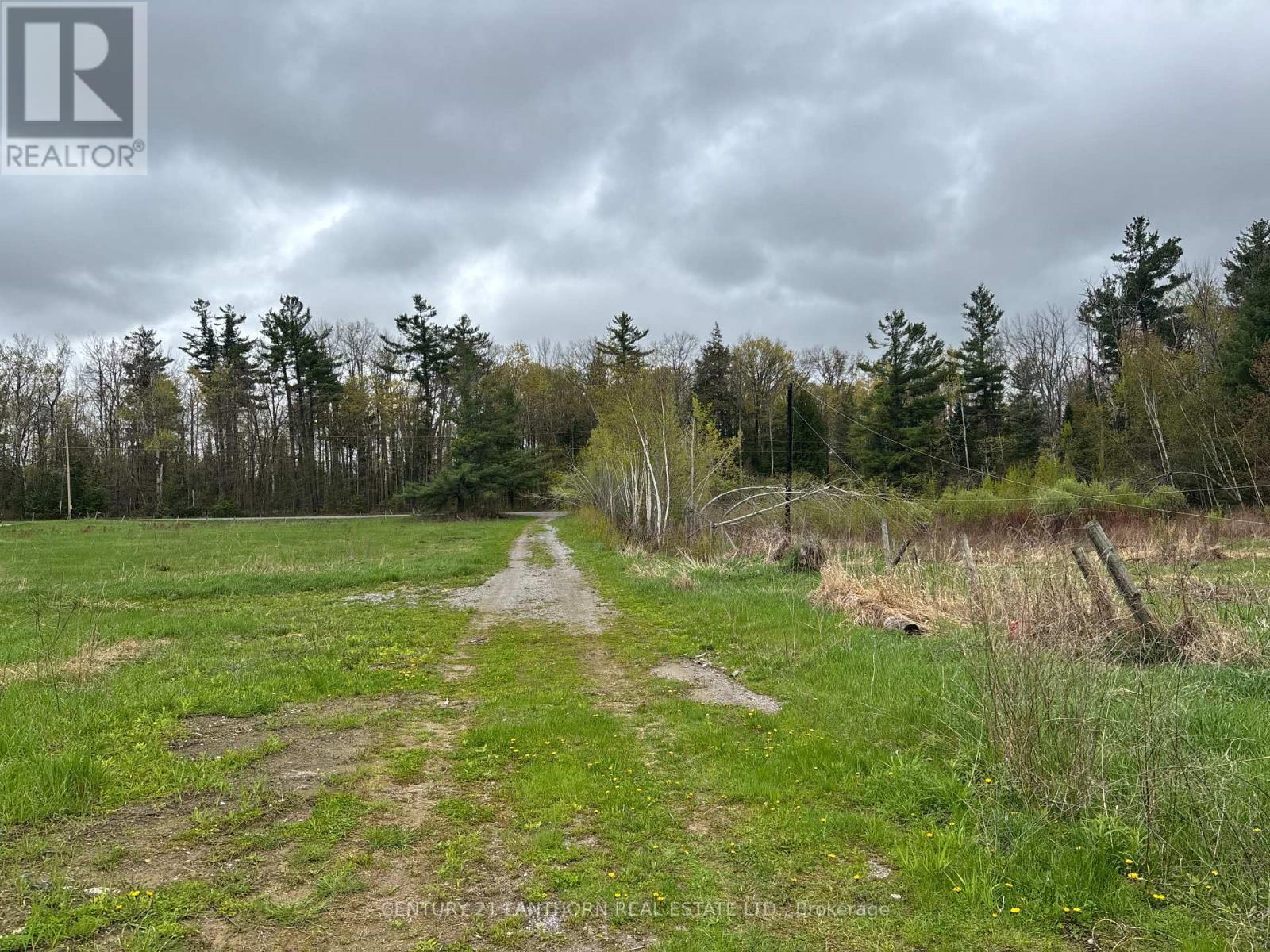 1012 12th Line W, Trent Hills, Ontario  K0L 1Y0 - Photo 6 - X12722922