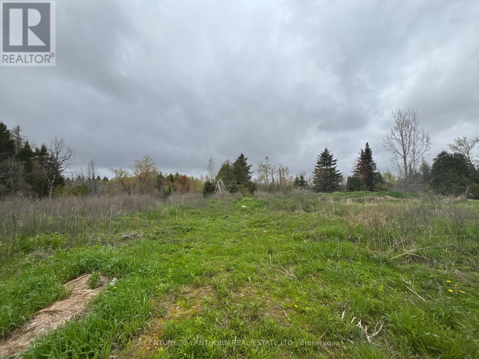 1012 12th Line W, Trent Hills, Ontario  K0L 1Y0 - Photo 5 - X12722922