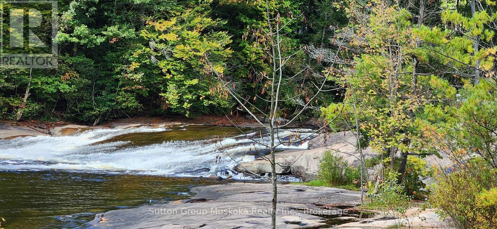 64 Spruce Drive, Huntsville, Ontario  P0B 1L0 - Photo 31 - X13131536