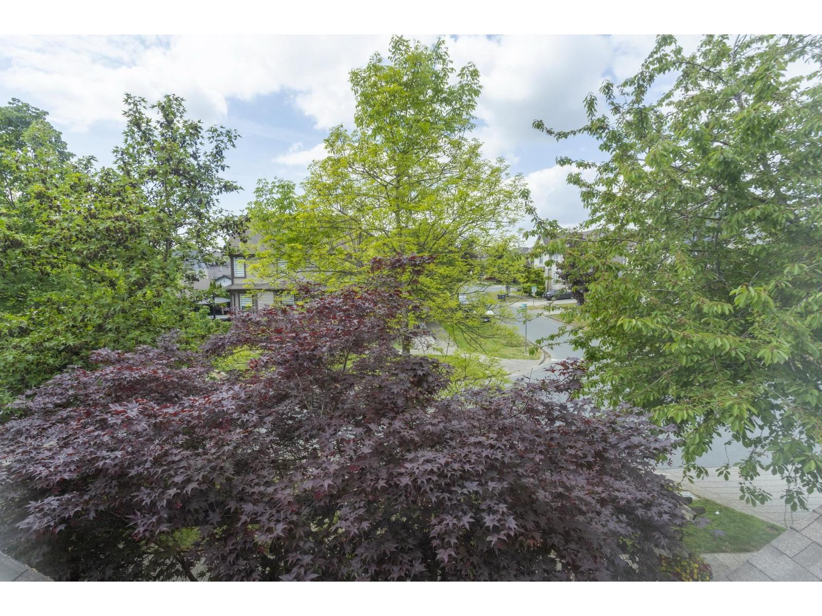 73 6852 193 Street, Surrey, British Columbia  V4N 0C8 - Photo 24 - R3124010