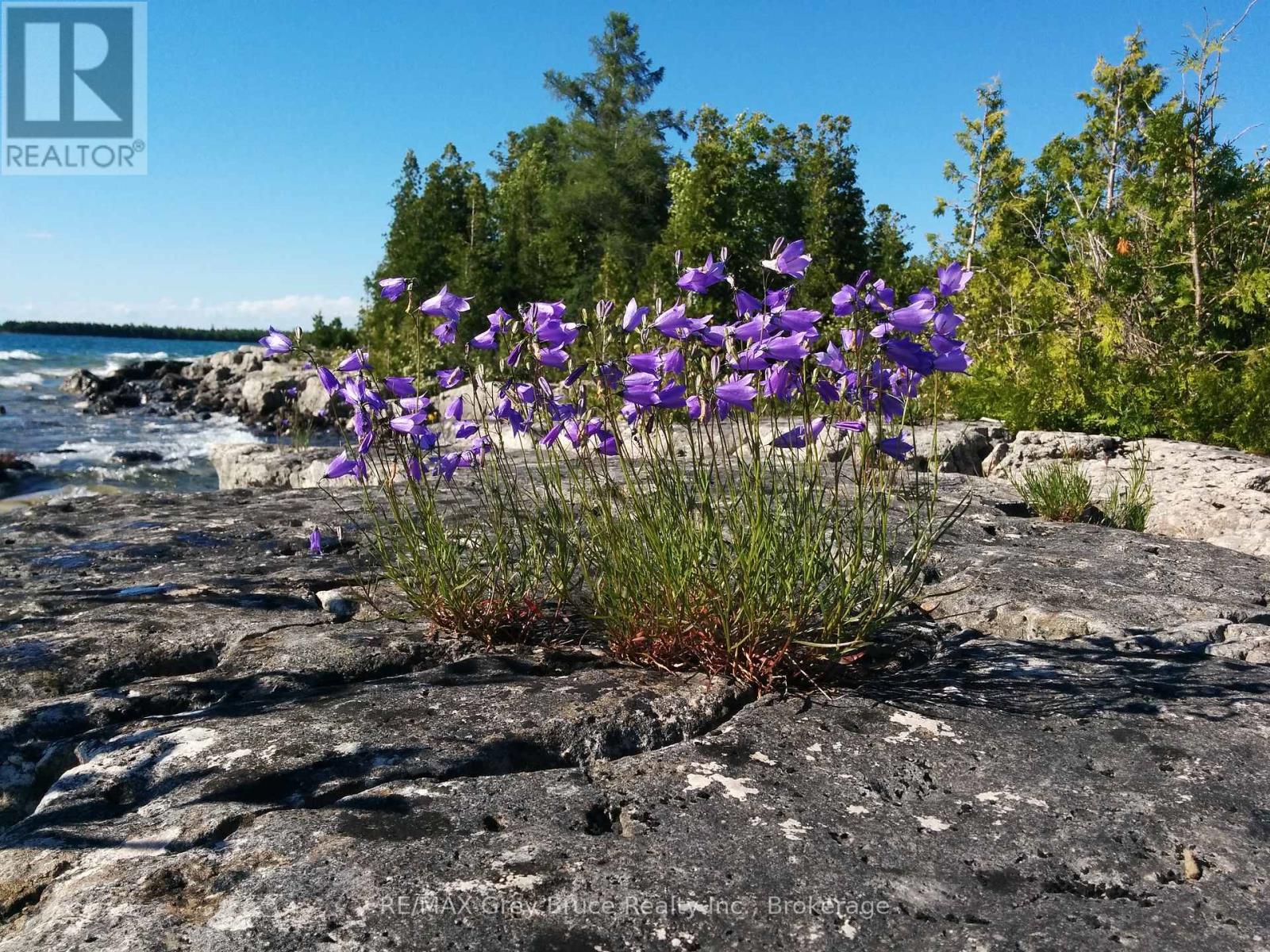 90 Greenough Point Road, Northern Bruce Peninsula, Ontario  N0H 1W0 - Photo 42 - X12924572