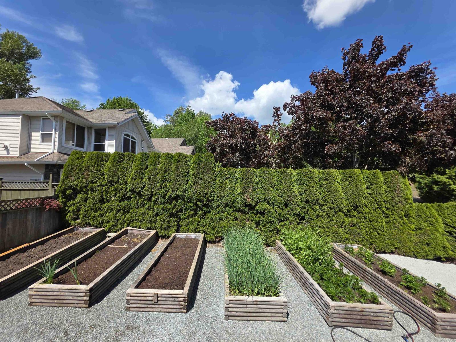 33601 12 Avenue, Mission, British Columbia  V2V 7B4 - Photo 13 - R3122510