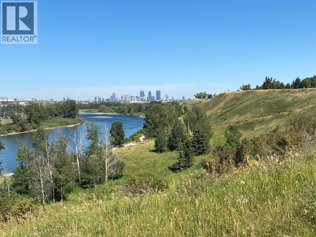 540 Lysander Drive Se, Calgary, Alberta  T2C 1L7 - Photo 3 - A2290605