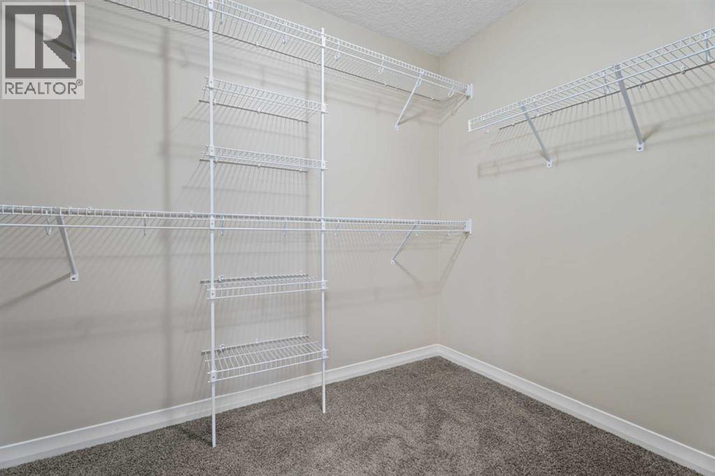 132 Auburn Springs Close Se, Calgary, Alberta  T3M 0Z8 - Photo 27 - A2301609