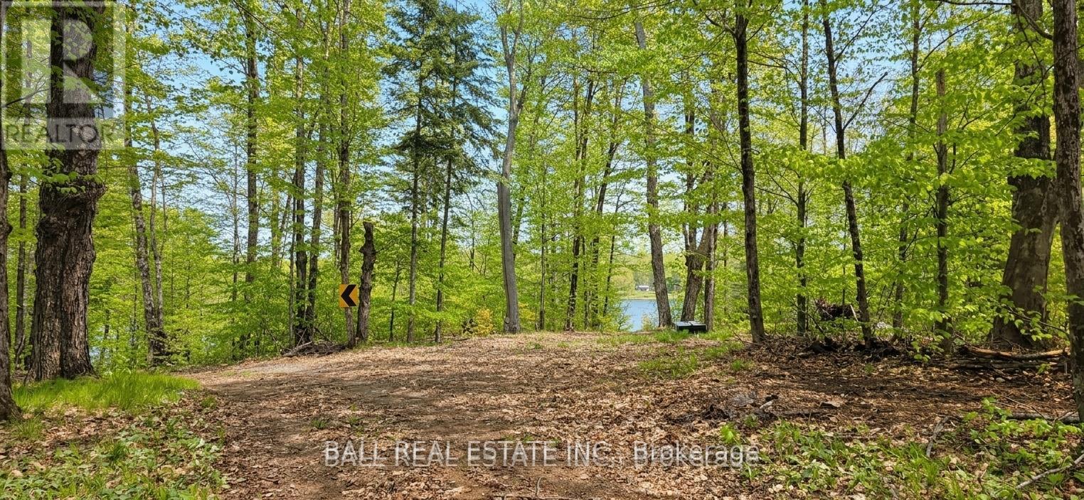1691f Buckshot Road, Addington Highlands, Ontario  K0H 1K0 - Photo 21 - X13130294
