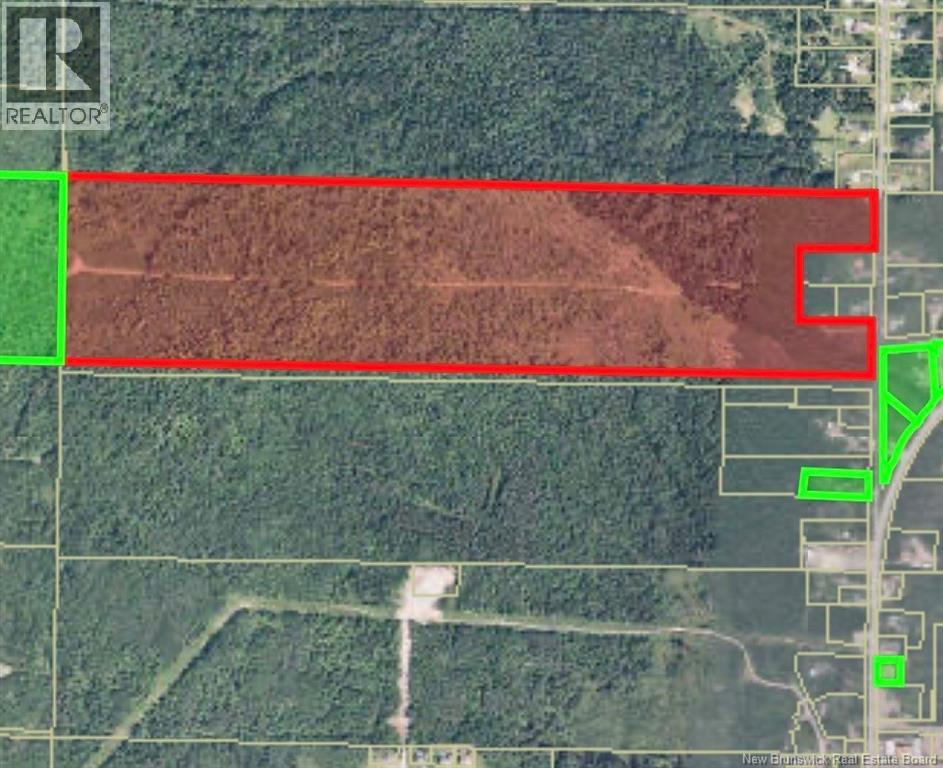 35 Ch Rang 7 Et 8, Kedgwick, New Brunswick  E8B 1V8 - Photo 1 - NB139262