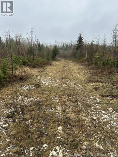 35 Ch Rang 7 Et 8, Kedgwick, New Brunswick  E8B 1V8 - Photo 25 - NB139262