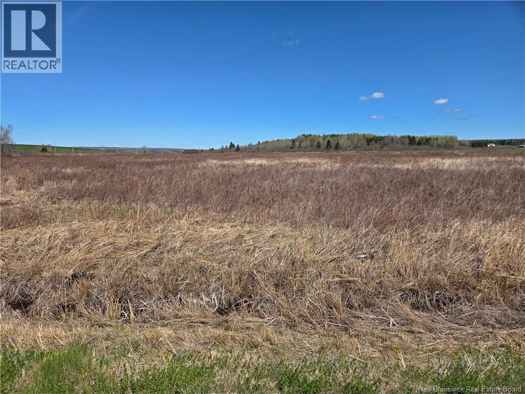 Lot Anderson Mill Road, Memramcook, New Brunswick  E4K 3Z2 - Photo 1 - NB139521