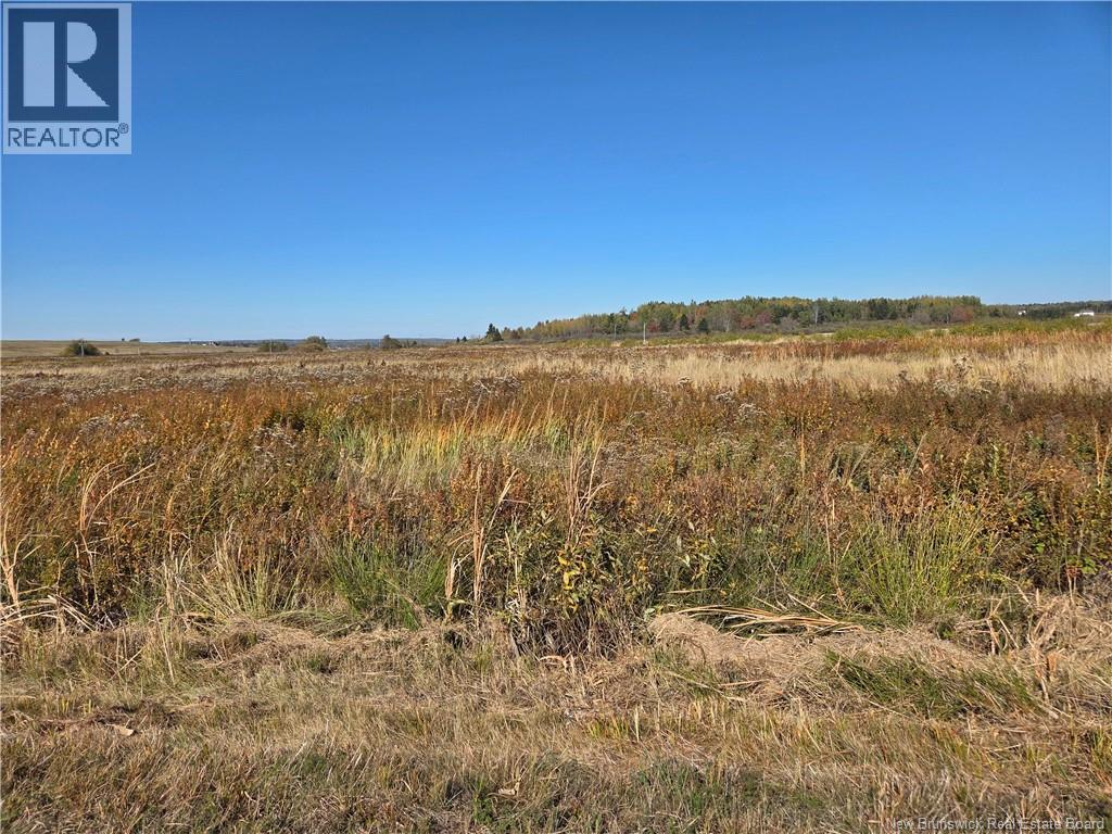 Lot Anderson Mill Road, Memramcook, New Brunswick  E4K 3Z2 - Photo 7 - NB139521