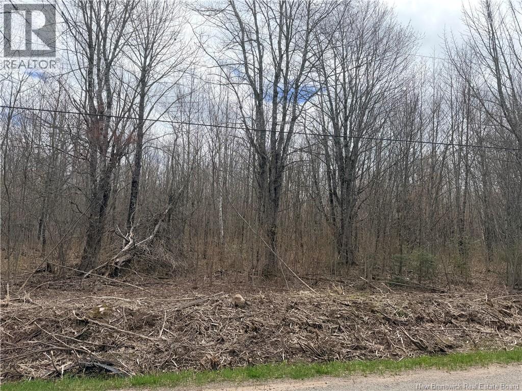 Lot 83-2 Route 880, Havelock, New Brunswick  E4Z 5H9 - Photo 1 - NB139281