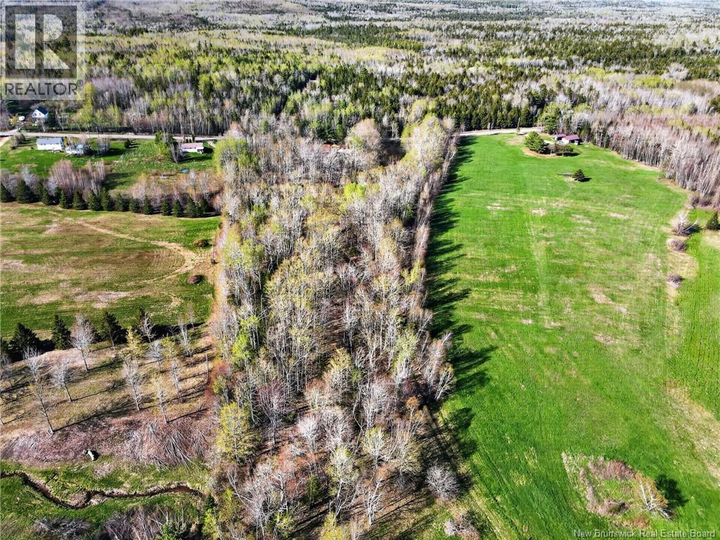 4075 Route 910, Shenstone, New Brunswick  E4H 4G6 - Photo 16 - NB139273