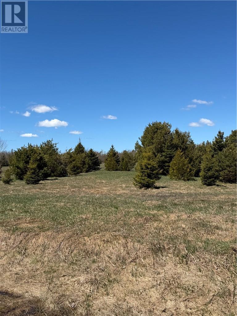 Lot 16 Deerfoot Trail, Mindemoya, Ontario  P0P 1S0 - Photo 6 - 2127739