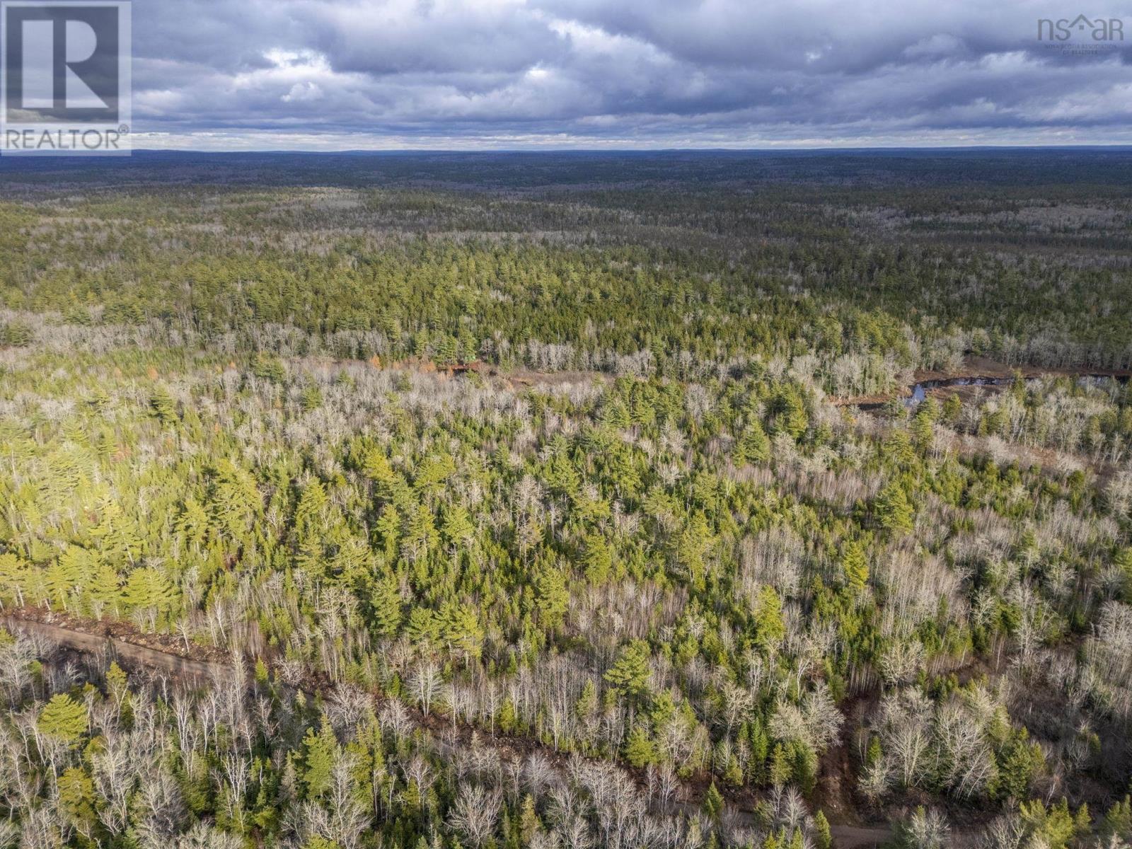Lot 2 Highway 10, Albany, Nova Scotia  B0S 1P0 - Photo 12 - 202528215