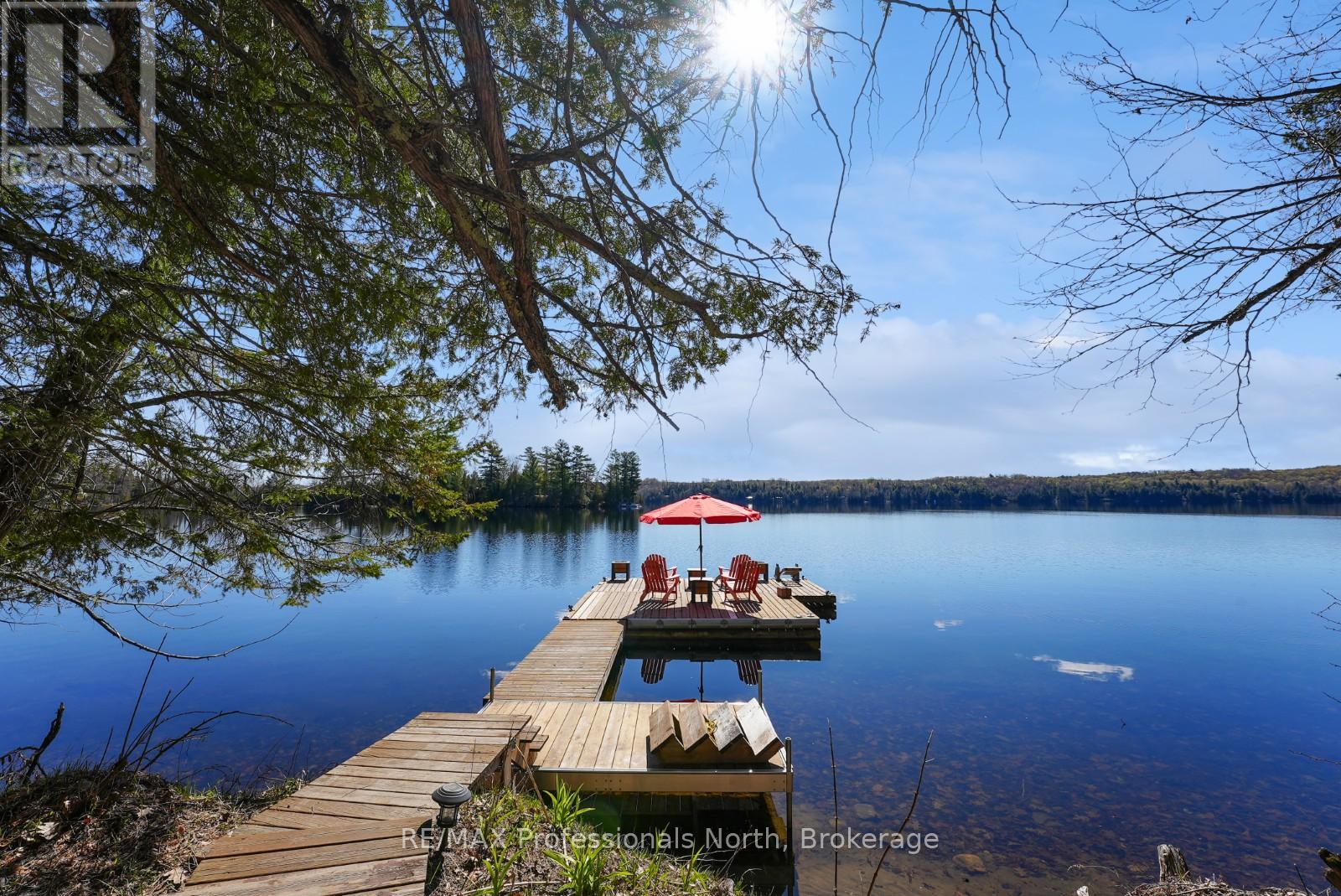1125 Caribou Road, Minden Hills, Ontario  K0M 2K0 - Photo 42 - X13132558