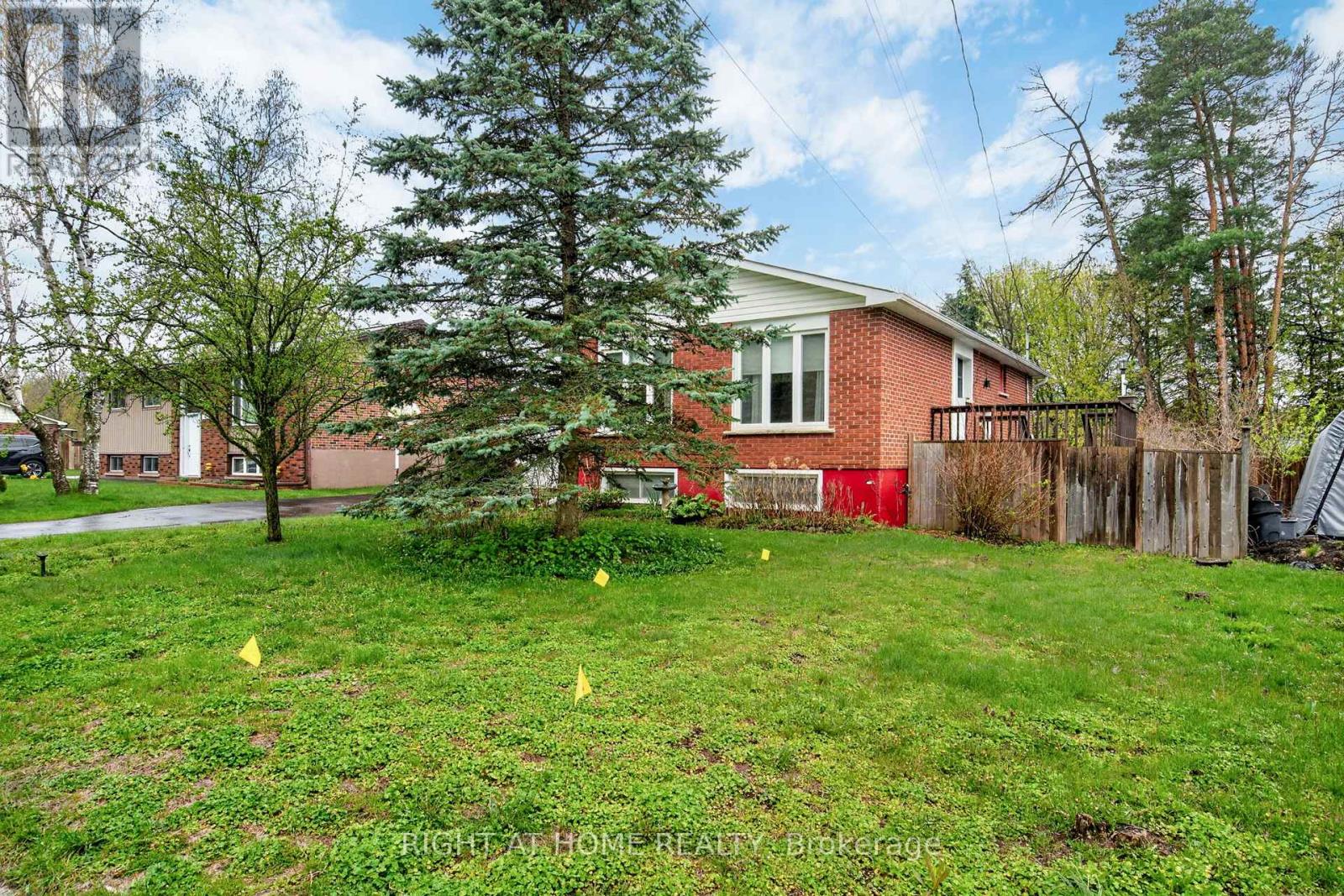 43 Vernon Street, Essa (Angus), Ontario  L0M 1B0 - Photo 4 - N13132426