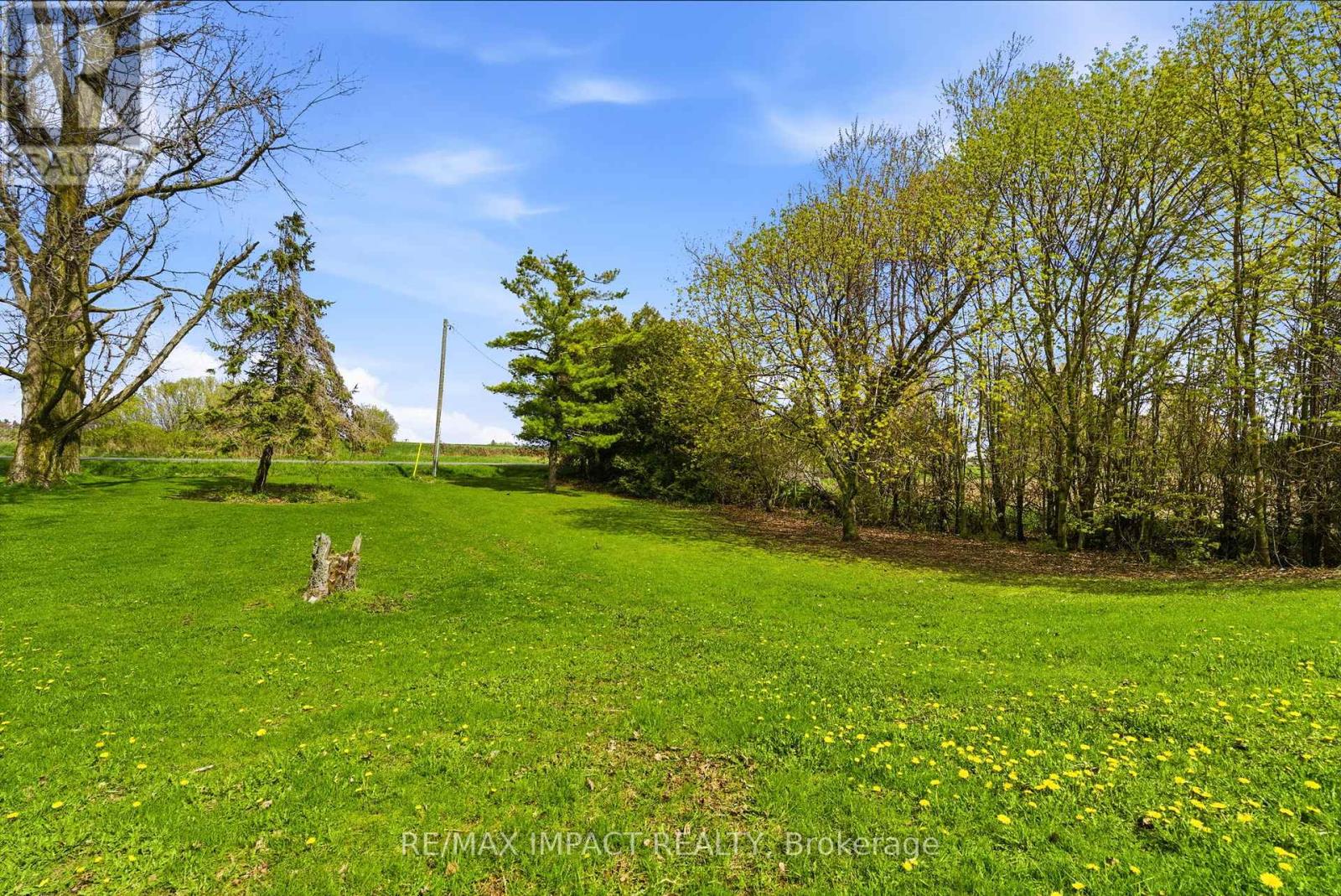 2155 Concession Road 9 Road, Clarington, Ontario  L0B 1B0 - Photo 12 - E13132940