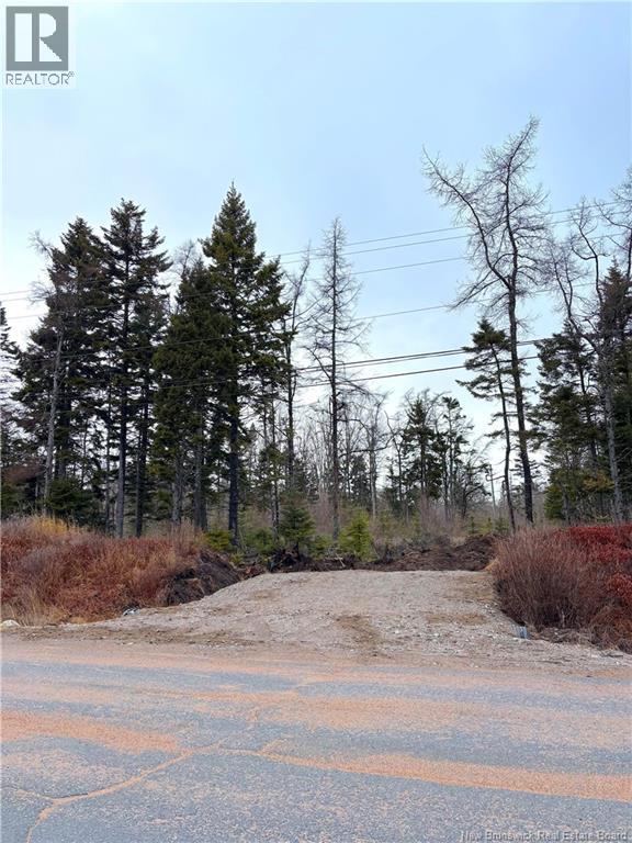 Mink Brook Road, Lepreau, New Brunswick  E5J 1K7 - Photo 12 - NB134050
