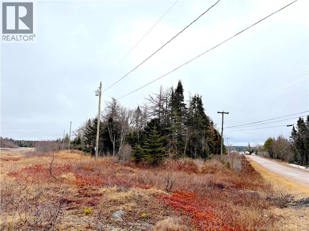 Mink Brook Road, Lepreau, New Brunswick  E5J 1K7 - Photo 3 - NB134050