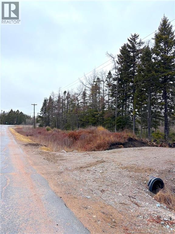 Mink Brook Road, Lepreau, New Brunswick  E5J 1K7 - Photo 5 - NB134050