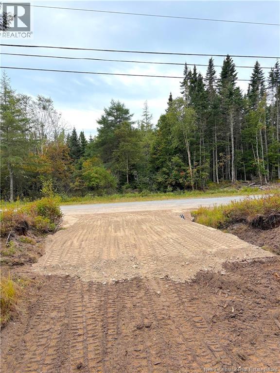 Mink Brook Road, Lepreau, New Brunswick  E5J 1K7 - Photo 9 - NB134050