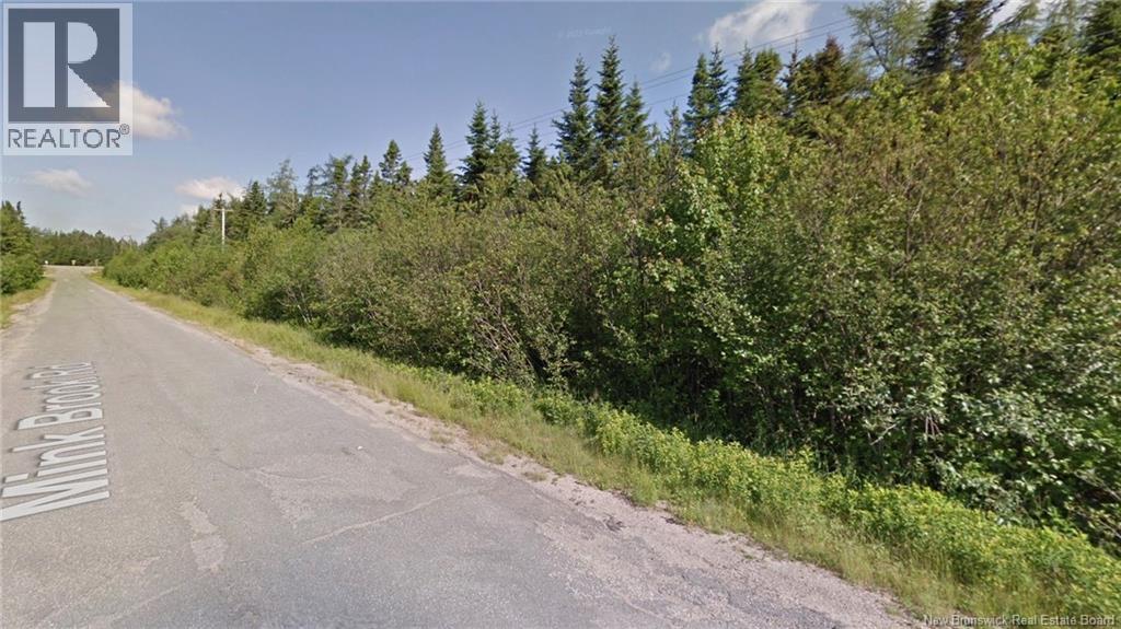 Mink Brook Road, Lepreau, New Brunswick  E5J 1K7 - Photo 11 - NB134050