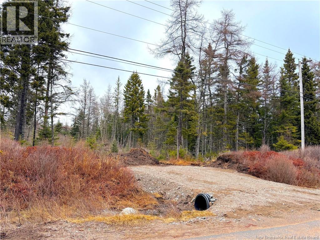 Mink Brook Road, Lepreau, New Brunswick  E5J 1K7 - Photo 2 - NB134050