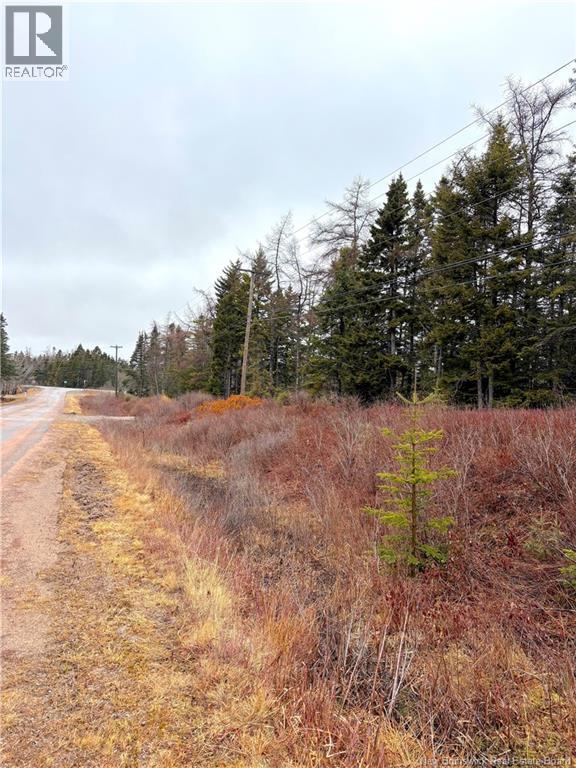 Mink Brook Road, Lepreau, New Brunswick  E5J 1K7 - Photo 4 - NB134050