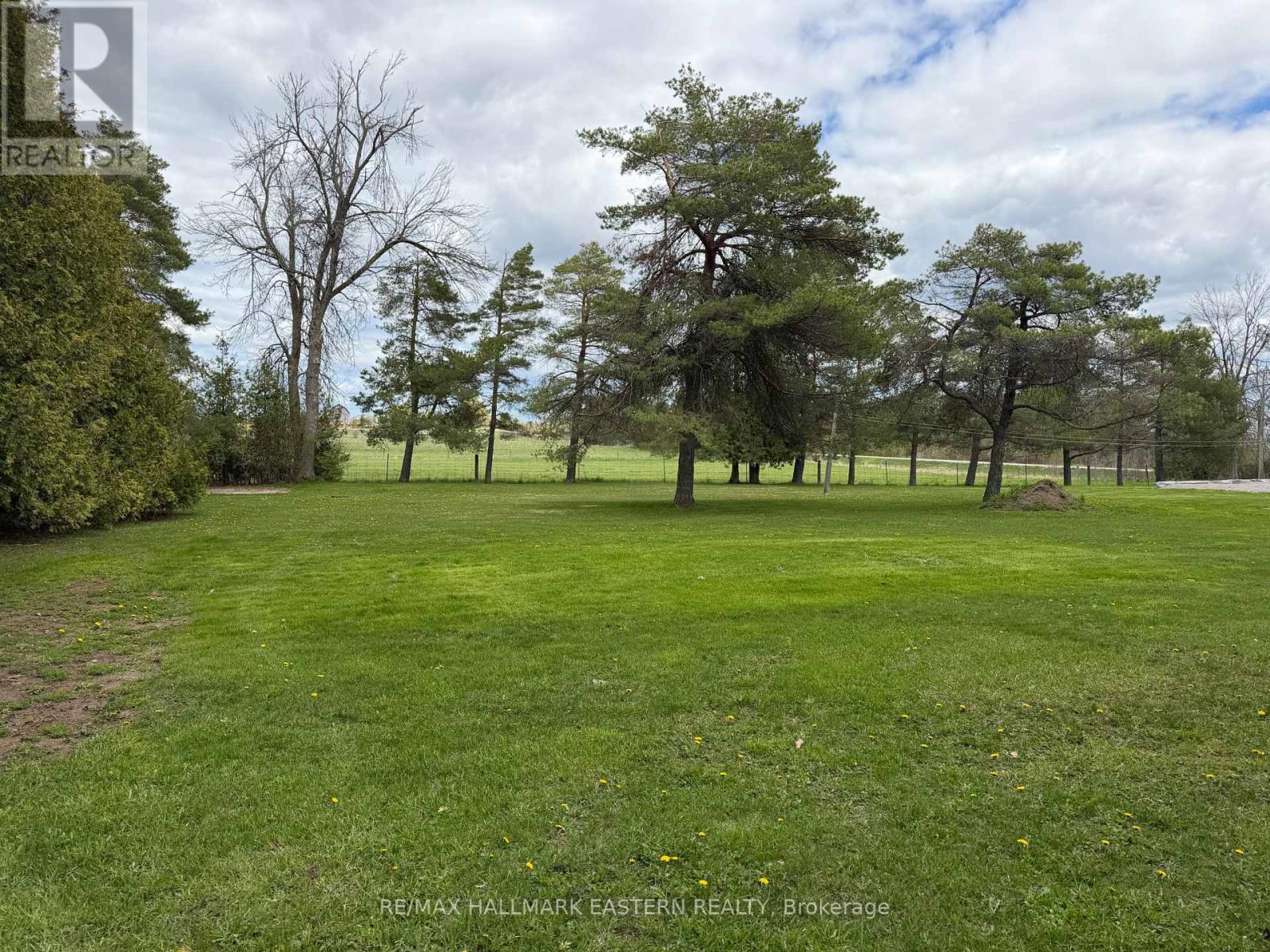 1320 Heights Road, Kawartha Lakes, Ontario  K9V 4R3 - Photo 26 - X13132686
