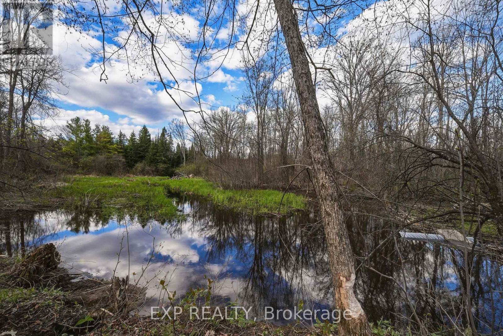 00 Beaver Creek Road, Marmora And Lake, Ontario  K0K 2M0 - Photo 22 - X13132732