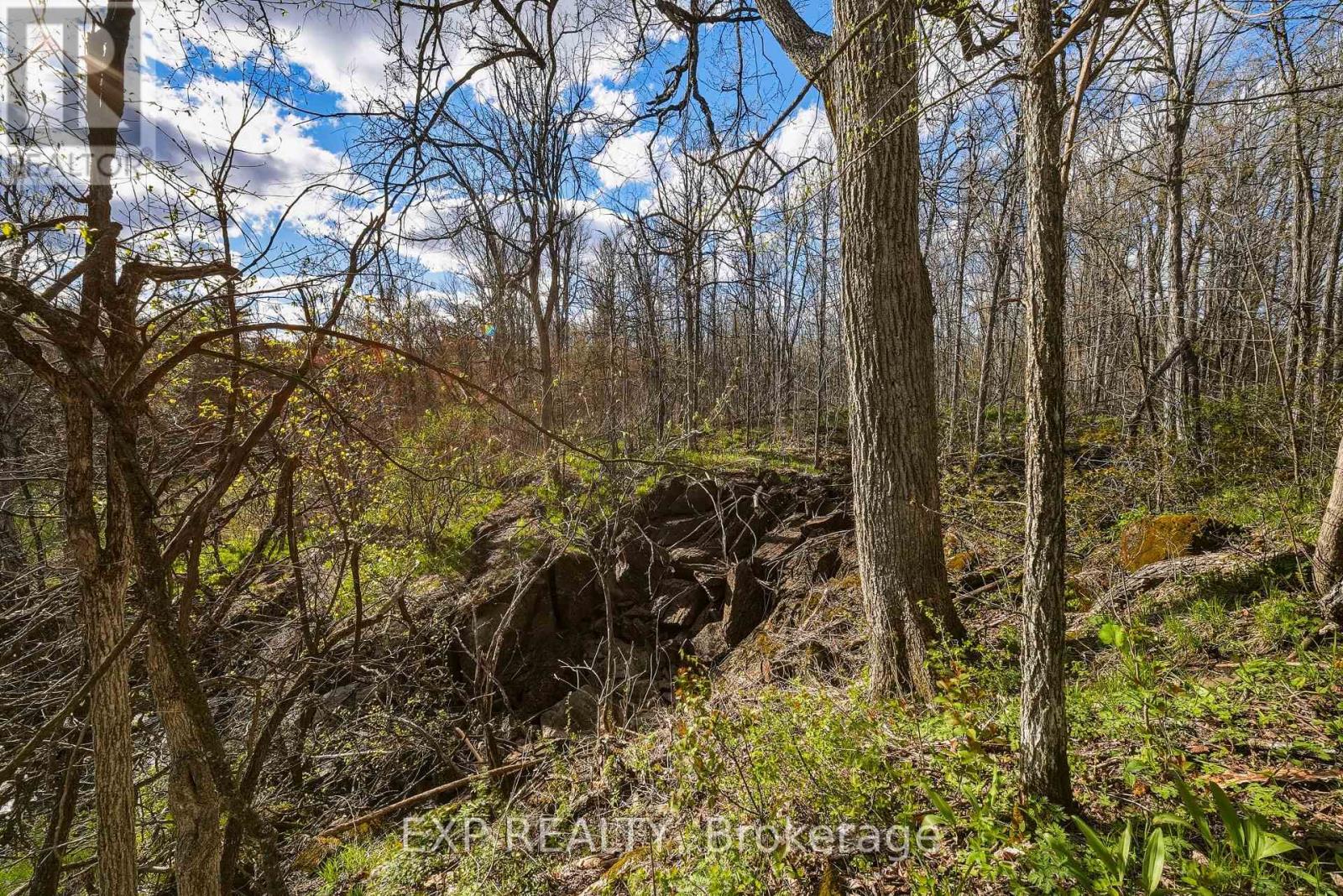 00 Beaver Creek Road, Marmora And Lake, Ontario  K0K 2M0 - Photo 25 - X13132732