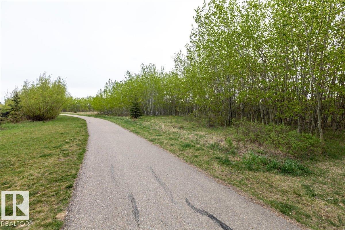 #405 7463 May Cm Nw, Edmonton, Alberta  T6R 0X1 - Photo 55 - E4487943