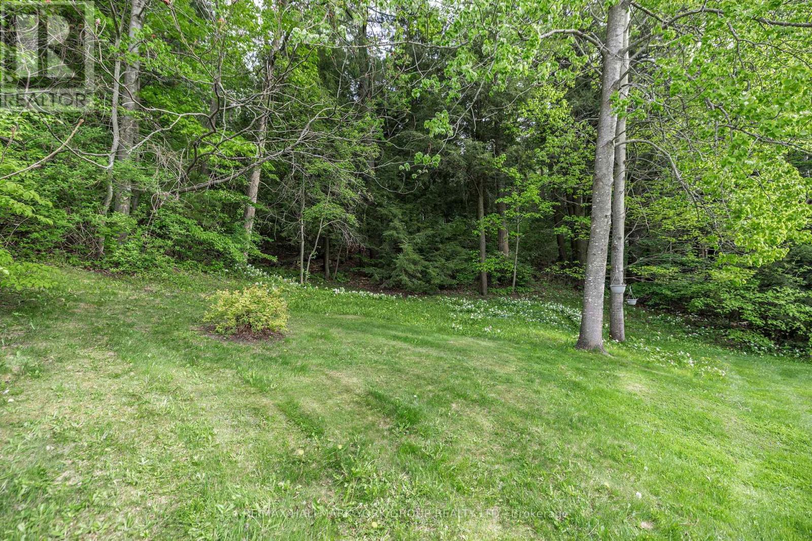 14 Anchor Court, East Gwillimbury, Ontario  L9N 1G1 - Photo 45 - N13133086