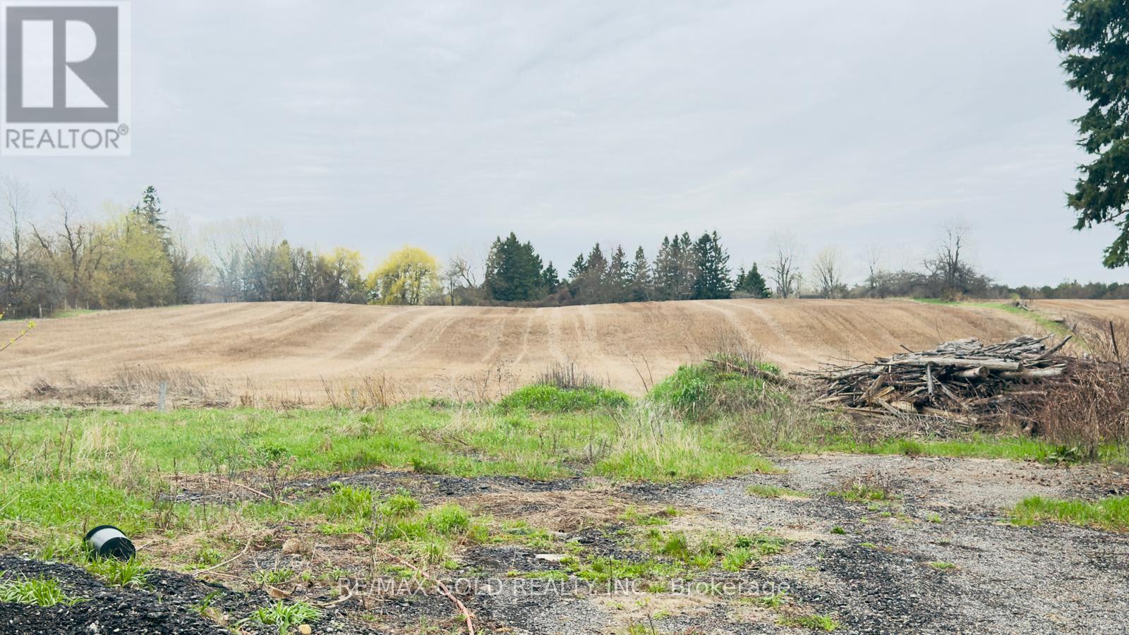 4476 Beech Grove Side Road, Caledon, Ontario  L7K 0M4 - Photo 5 - W13132936