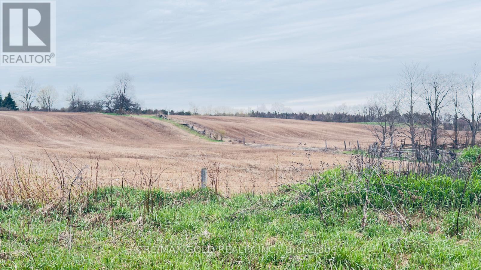 4476 Beech Grove Side Road, Caledon, Ontario  L7K 0M4 - Photo 6 - W13132936