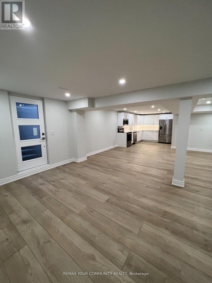 Basement - 39 Nelson Circle, Newmarket, Ontario  L3X 1R1 - Photo 12 - N13133196