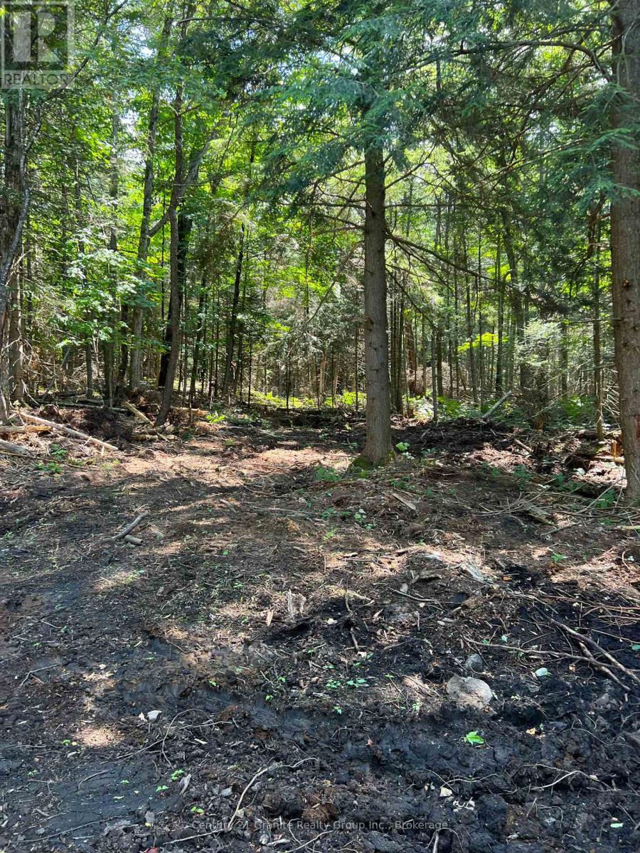 LOT 29 WEST COURT, Dysart et al, Ontario