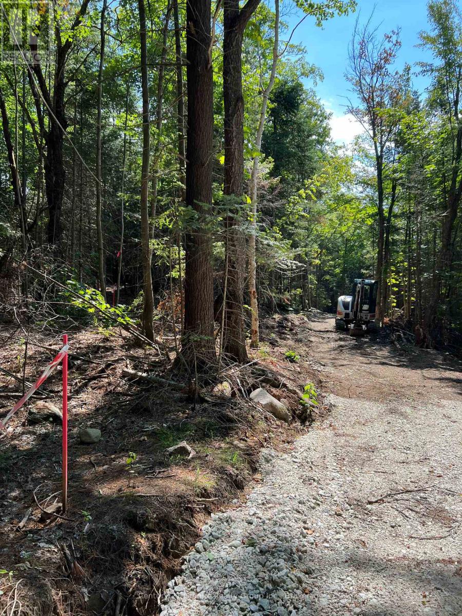 Lot 29 West Court, Dysart Et Al, Ontario  K0M 1S0 - Photo 2 - X13133392
