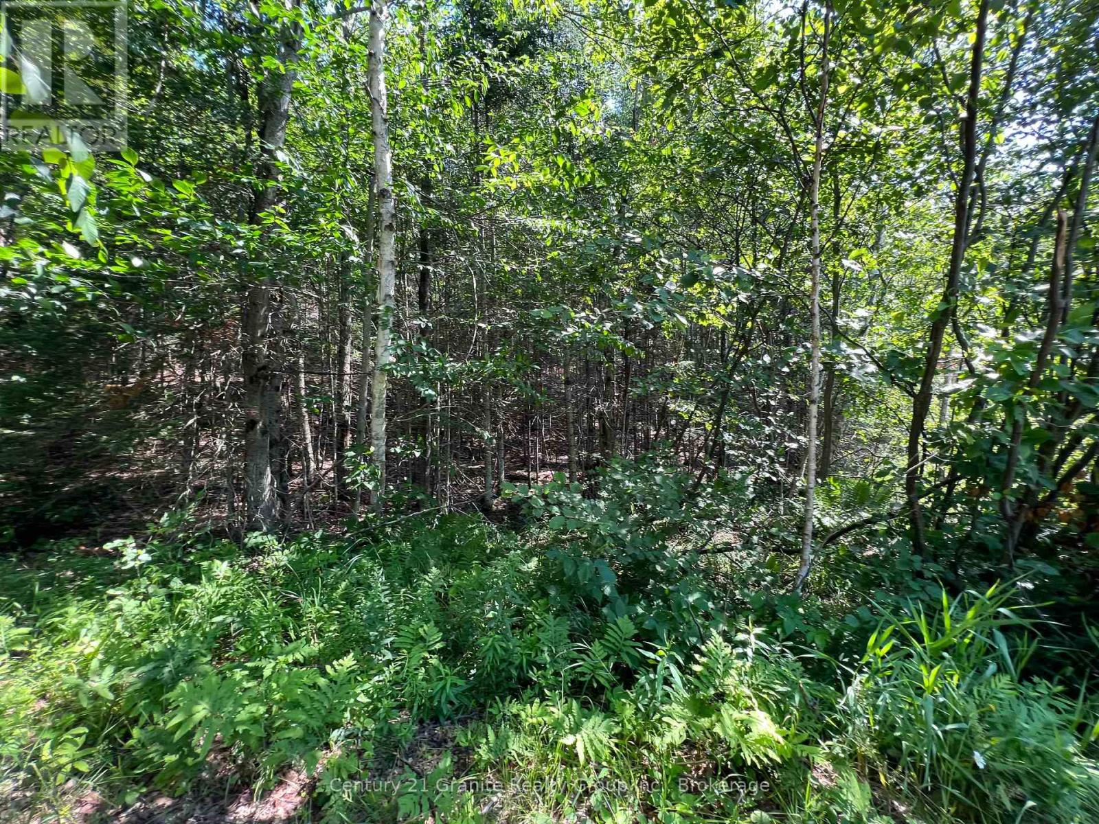 Lot 29 West Court, Dysart Et Al, Ontario  K0M 1S0 - Photo 3 - X13133392