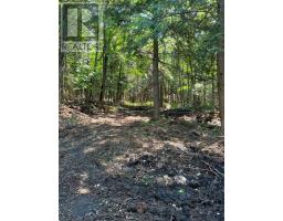LOT 29 WEST COURT, Dysart et al, Ontario