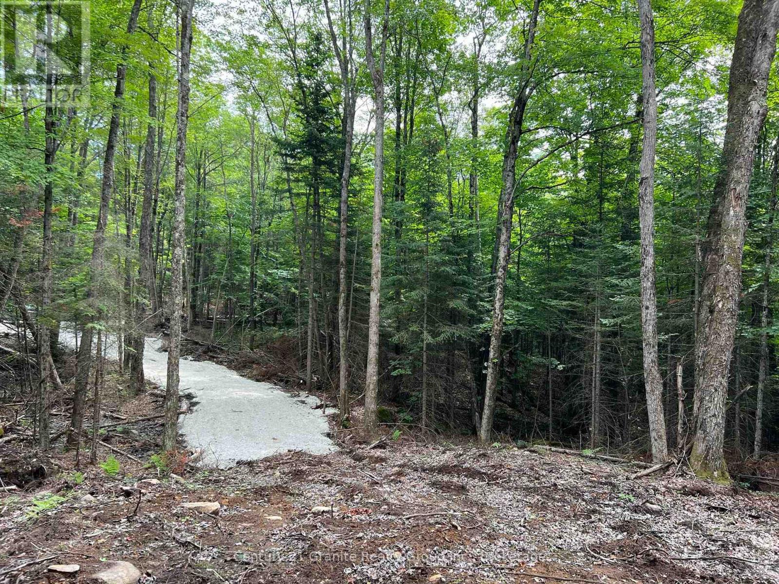 Lot 26 West Court, Dysart Et Al, Ontario  K0M 1S0 - Photo 2 - X13133400