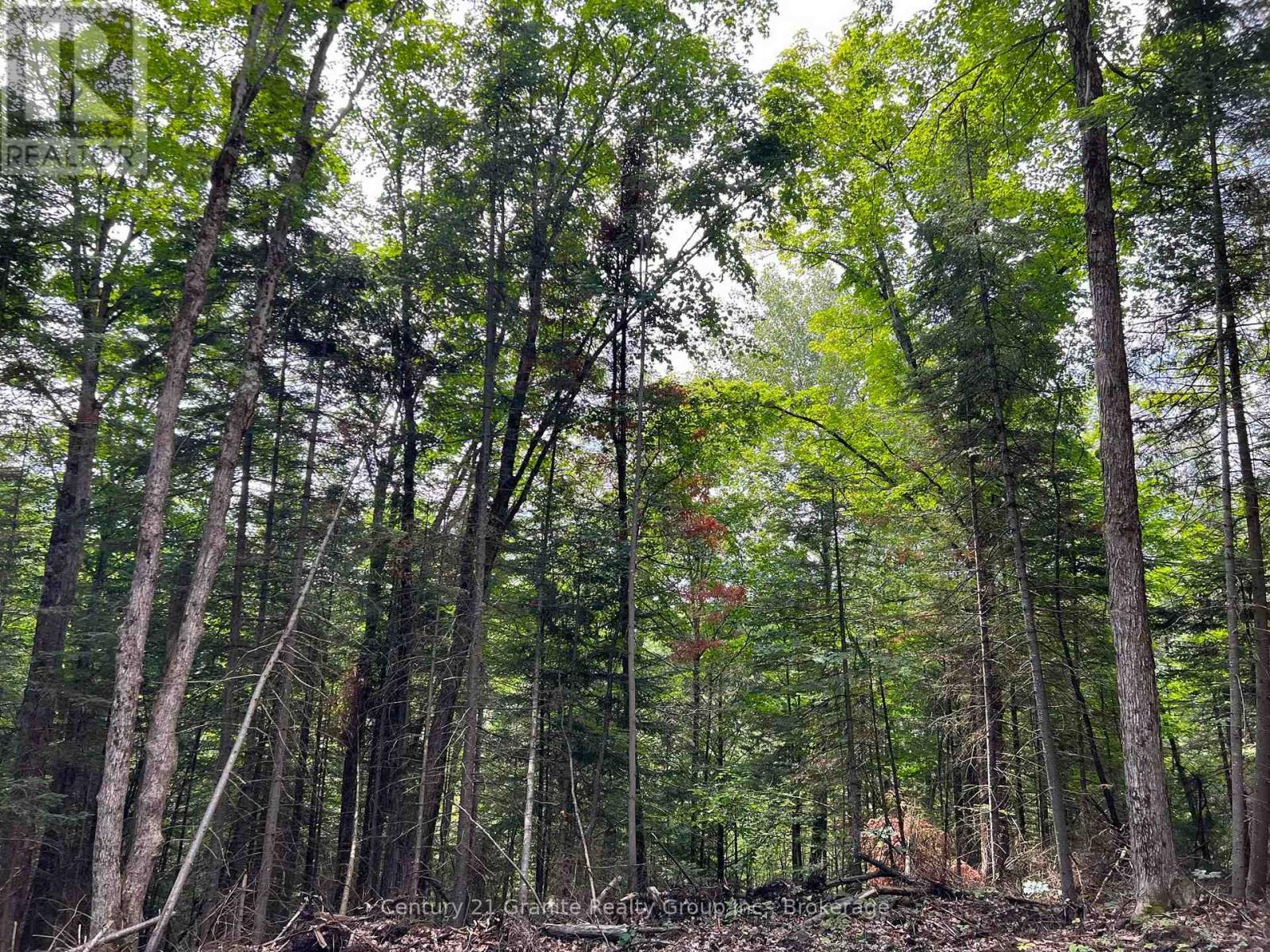 Lot 26 West Court, Dysart Et Al, Ontario  K0M 1S0 - Photo 3 - X13133400