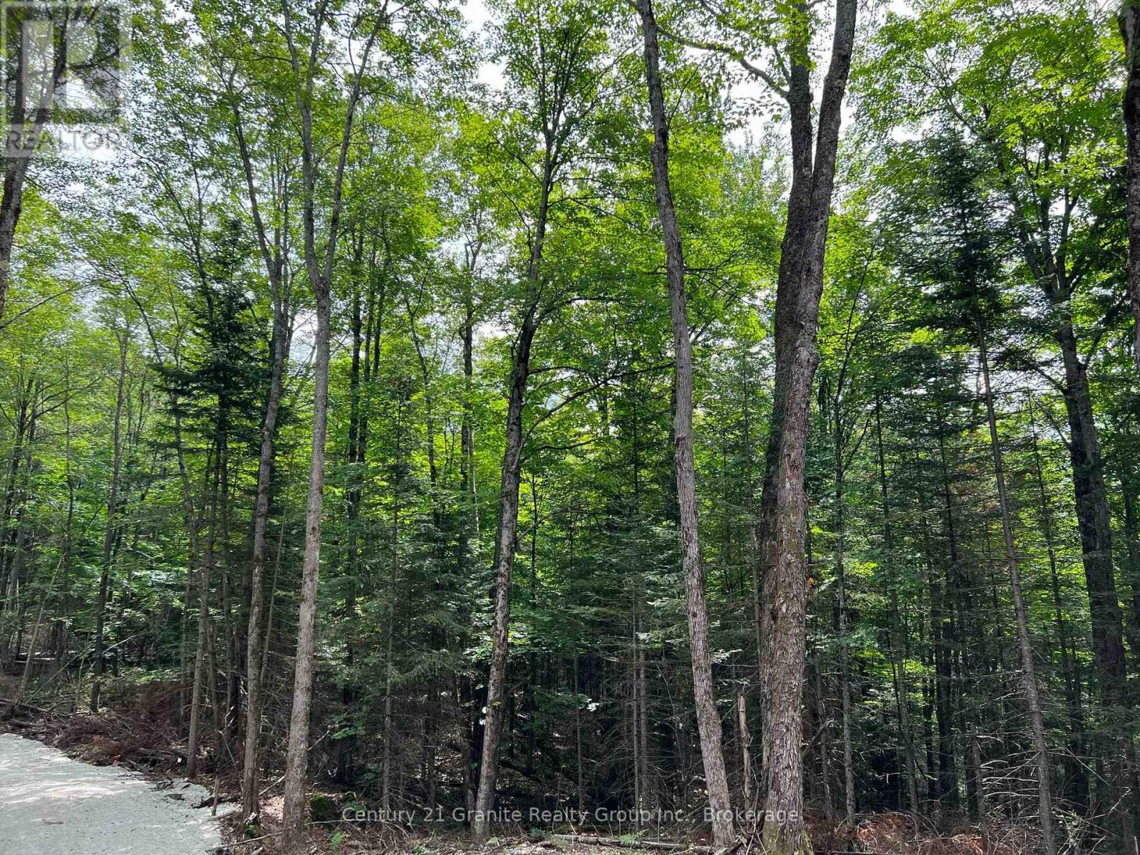 Lot 26 West Court, Dysart Et Al, Ontario  K0M 1S0 - Photo 4 - X13133400