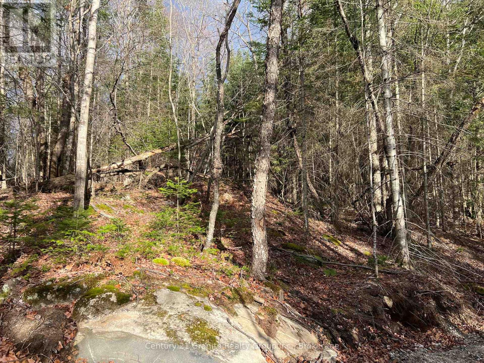Lot 27 Bushwolf Lake Road, Dysart Et Al, Ontario  K0M 1S0 - Photo 2 - X13133408