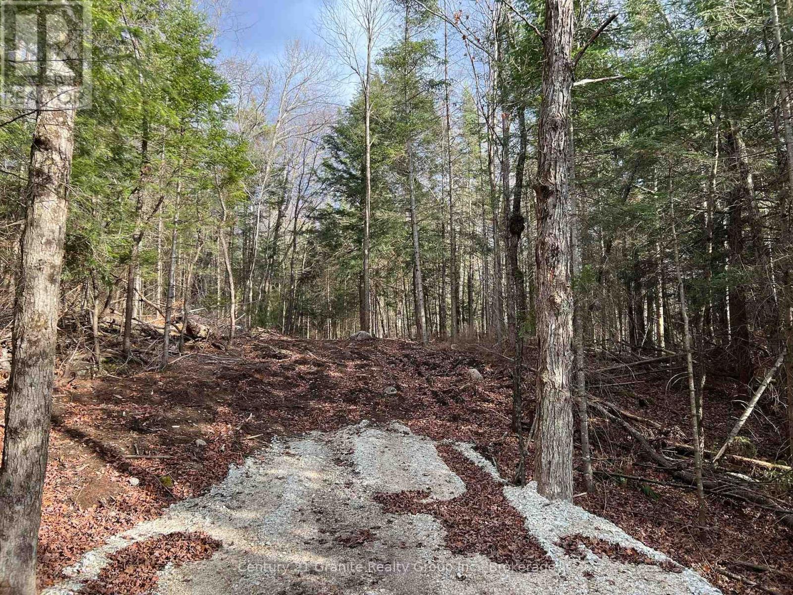 Lot 27 Bushwolf Lake Road, Dysart Et Al, Ontario  K0M 1S0 - Photo 3 - X13133408
