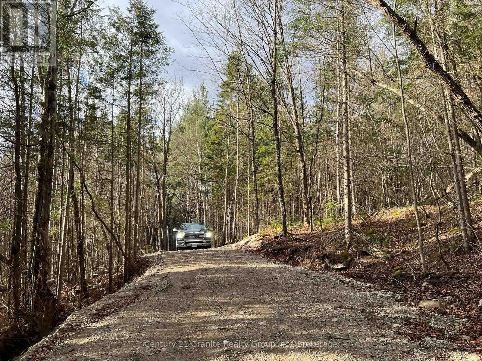 Lot 27 Bushwolf Lake Road, Dysart Et Al, Ontario  K0M 1S0 - Photo 4 - X13133408