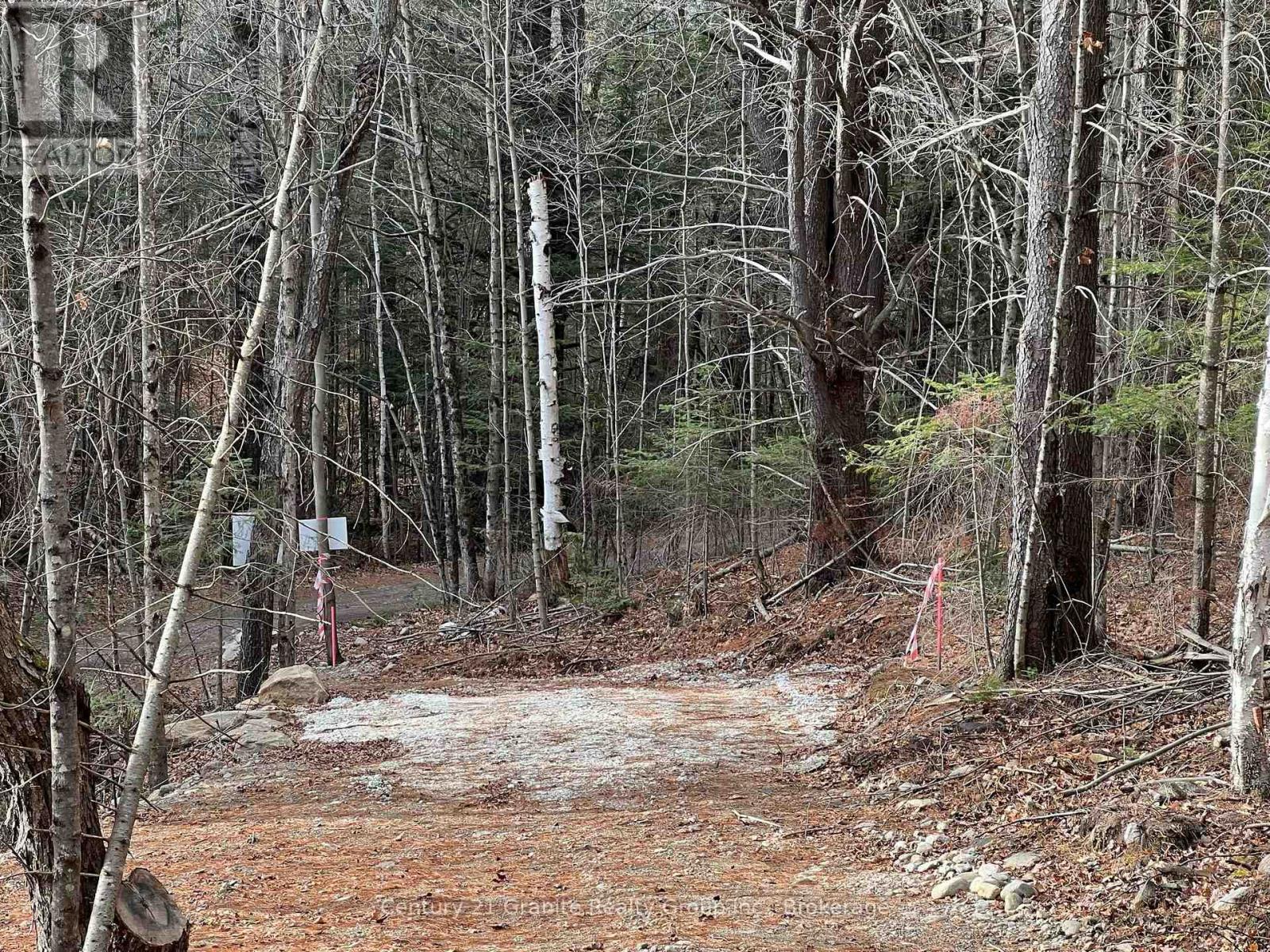 Lot 27 Bushwolf Lake Road, Dysart Et Al, Ontario  K0M 1S0 - Photo 5 - X13133408
