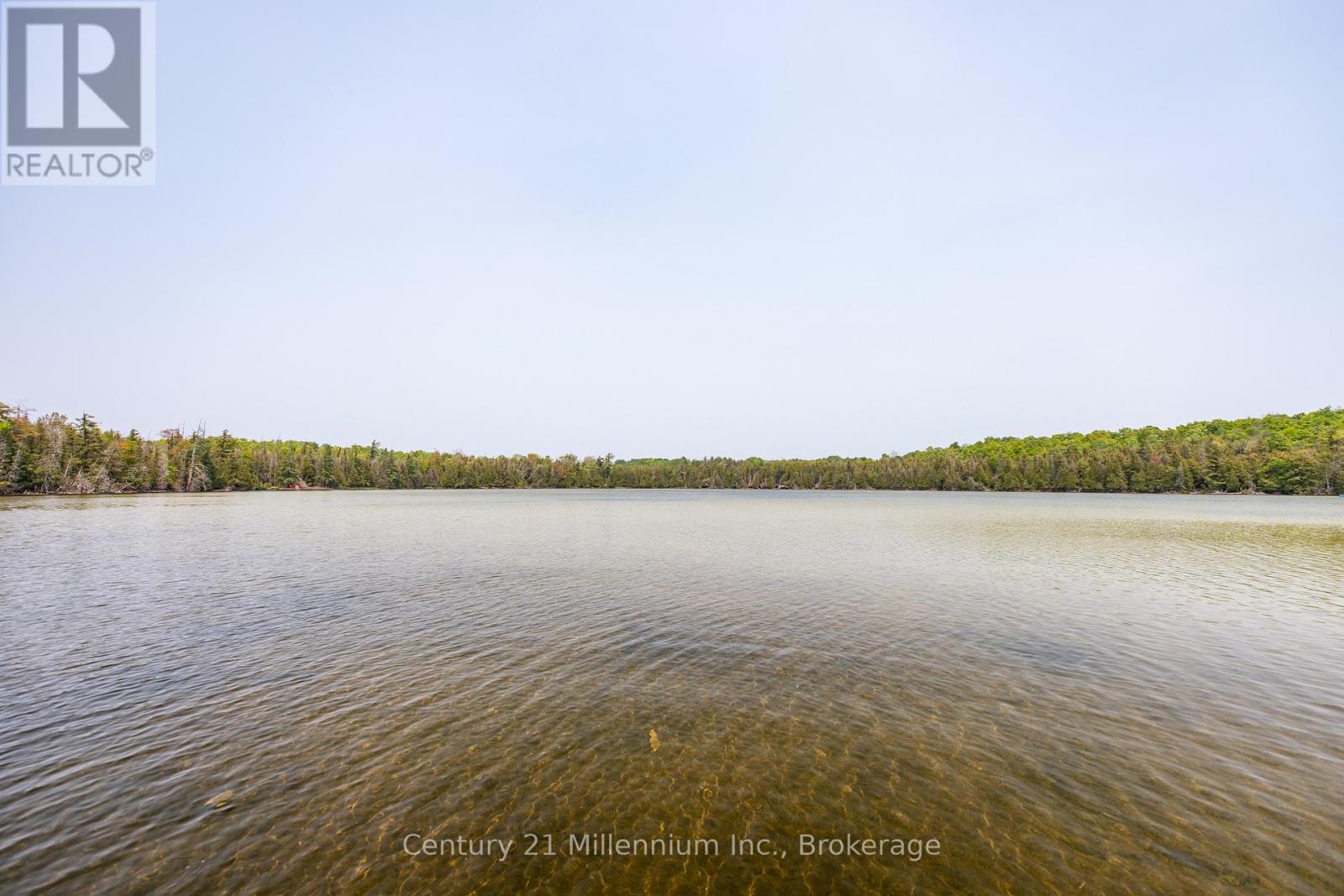 442811 Sideroad 12 Wgr Road, West Grey, Ontario  N0G 1R0 - Photo 6 - X13133774