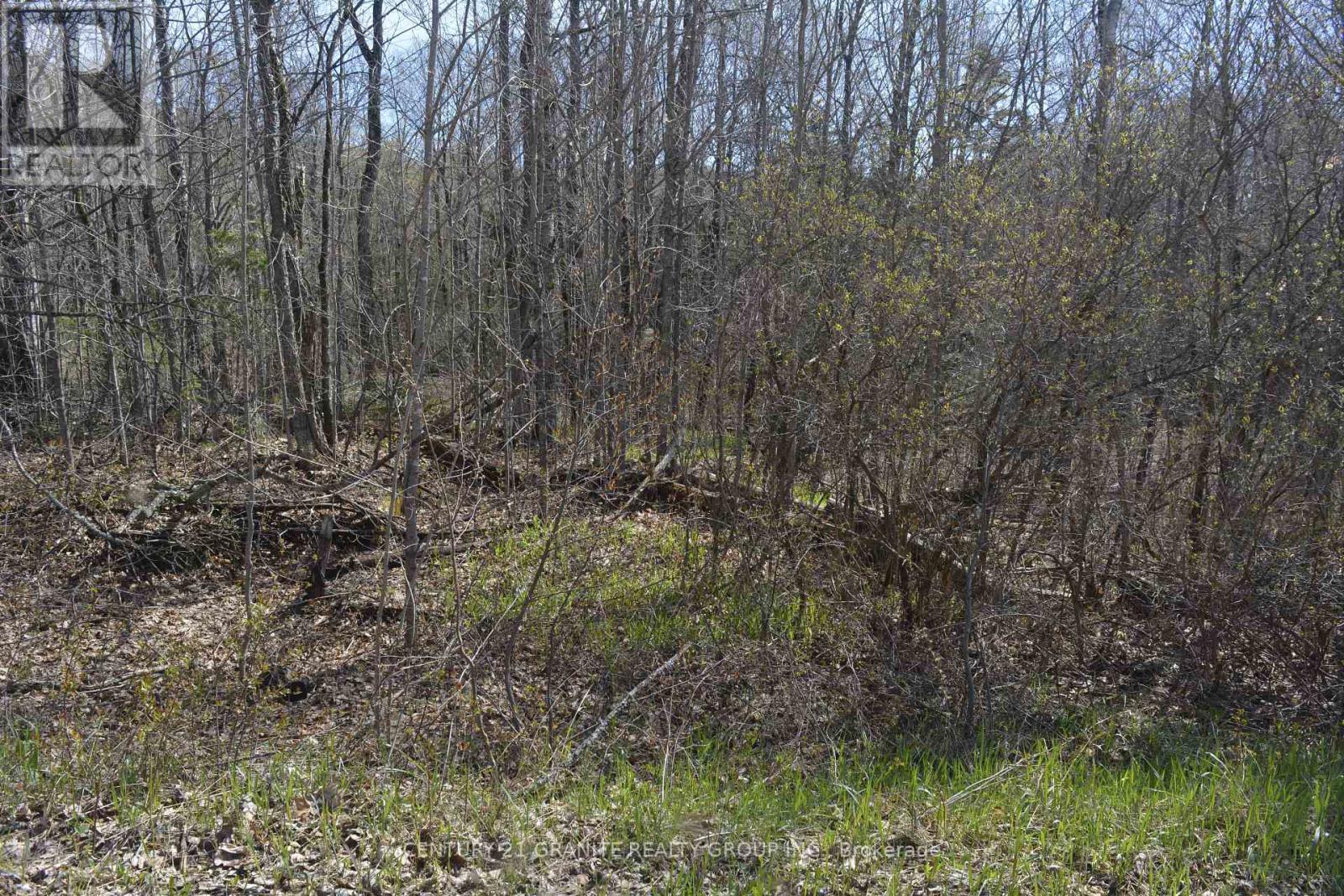 0 Sucie Road, Highlands East, Ontario  K0L 2A0 - Photo 2 - X12881098